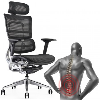 Ergonomic Chairs